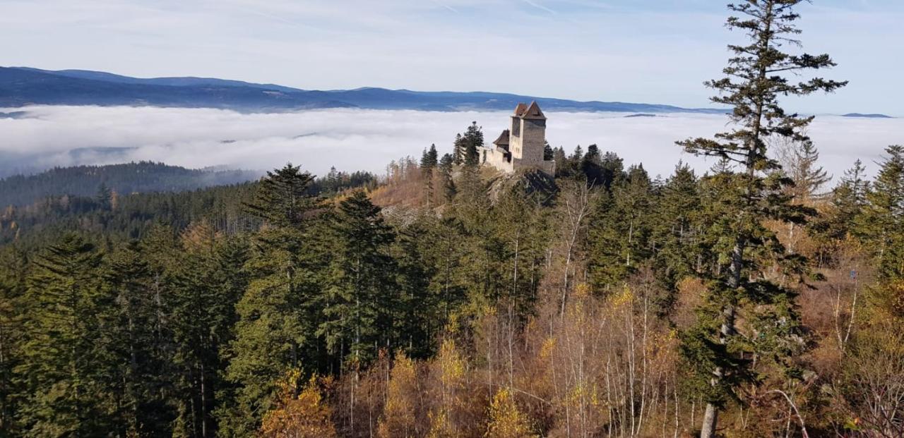 Hotel Zlaty Potok Nicov  Eksteriør bilde