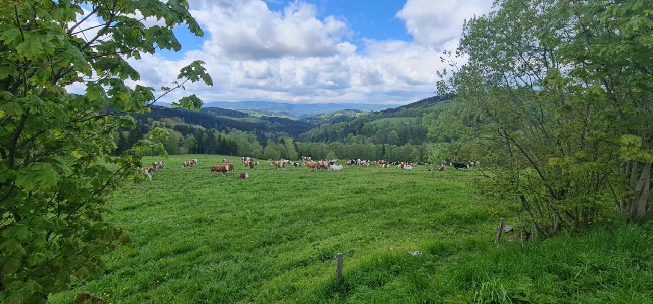 Hotel Zlaty Potok Nicov  Eksteriør bilde